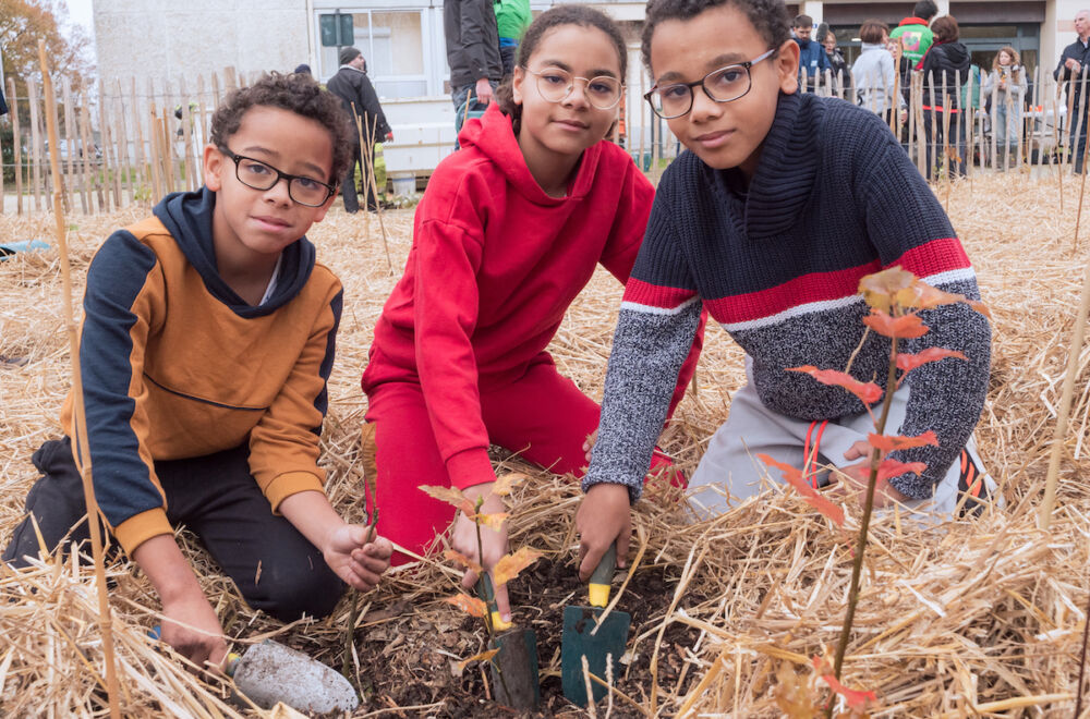 Les habitants du quartier, et particulièrement les jeunes, ont pris le projet à coeur et ont participé avec enthousiasme à la plantation.