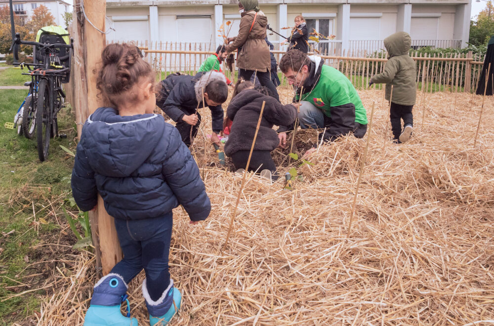 Le projet a suscité la curiosité de nombreux passants, qui n'ont pas forcément pris part à la plantation mais se sont parfois arrêtés un moment pour regarder ou discuter avec les volontaires.