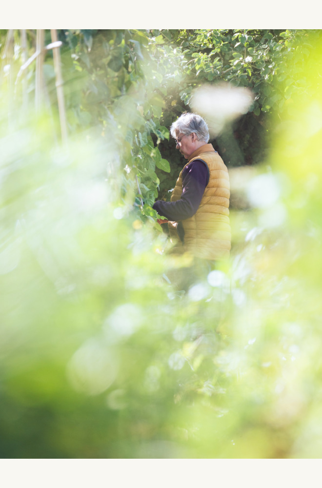L’écologie intégrale fait pleinement partie de l’intuition première du Village. Le travail de la terre permet à la fois de nourrir les corps et de soigner les esprits. Il est au coeur de la vie quotidienne de chaque maison.