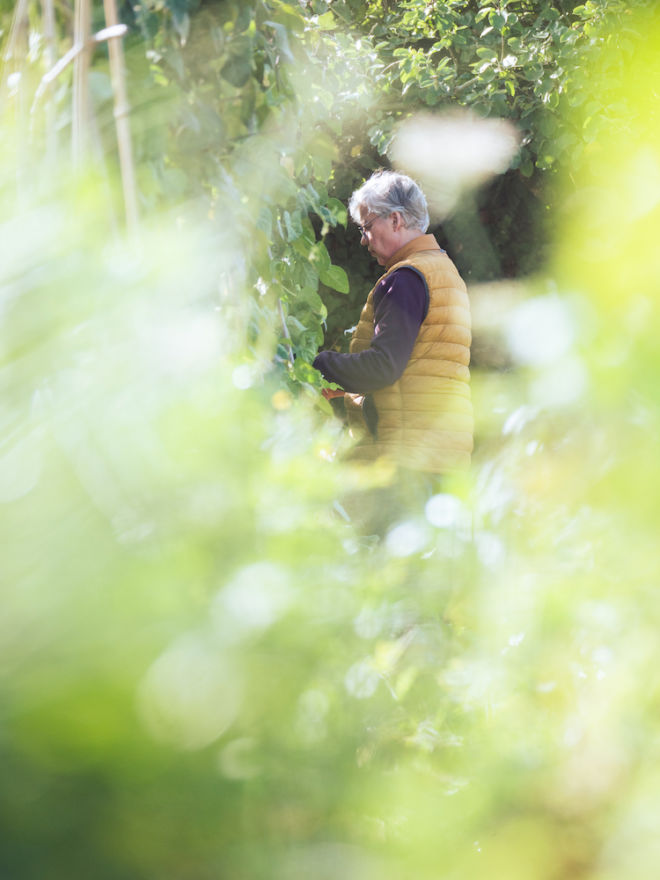 L’écologie intégrale fait pleinement partie de l’intuition première du Village. Le travail de la terre permet à la fois de nourrir les corps et de soigner les esprits. Il est au coeur de la vie quotidienne de chaque maison.