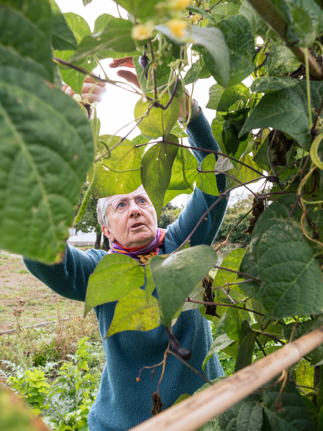 L’écologie intégrale fait pleinement partie de l’intuition première du Village. Le travail de la terre permet à la fois de nourrir les corps et de soigner les esprits. Il est au coeur de la vie quotidienne de chaque maison.