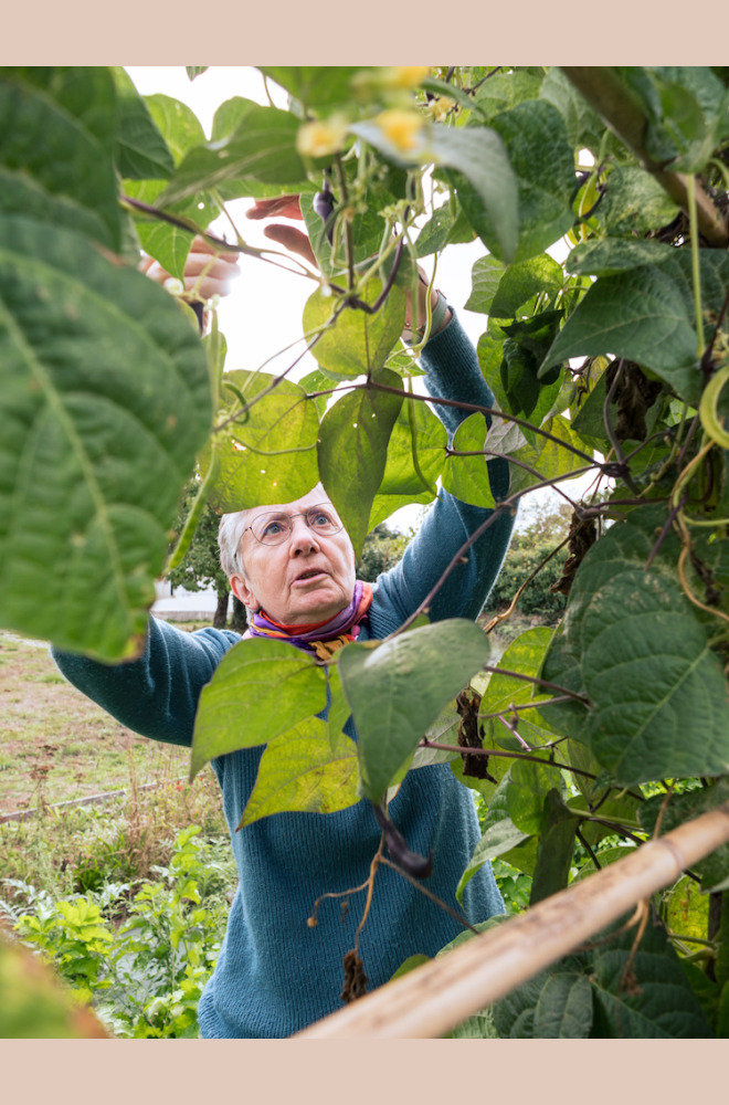 L’écologie intégrale fait pleinement partie de l’intuition première du Village. Le travail de la terre permet à la fois de nourrir les corps et de soigner les esprits. Il est au coeur de la vie quotidienne de chaque maison.