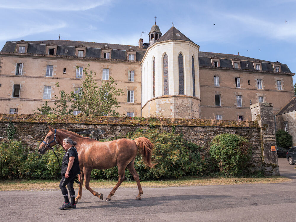 Un groupe de cavaliers de l’association "À cheval en Ille-et-Vilaine" (AACIV) a fait étape pour deux nuits à la Roche du Theil à Bains-sur-Oust (35), au milieu d’une randonnée dans le pays de Redon.
J'y étais pour prendre quelques photos et tourner une vidéo pour une publication sur le site de la Roche.